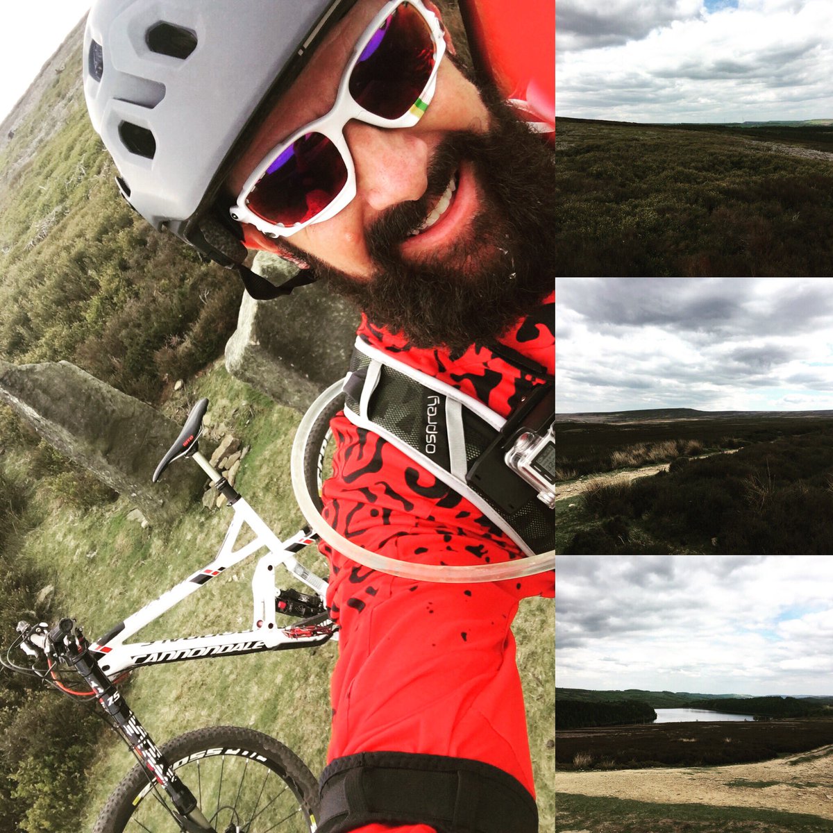 mark wingy hubbard tweet media