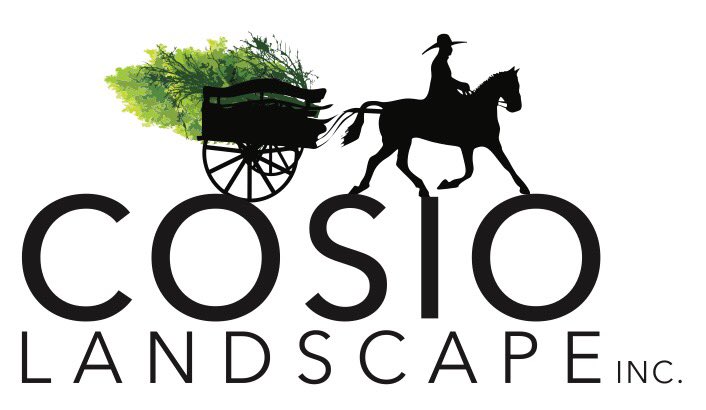 Cosio_Landscape's tweet image. You dream it, we build it!