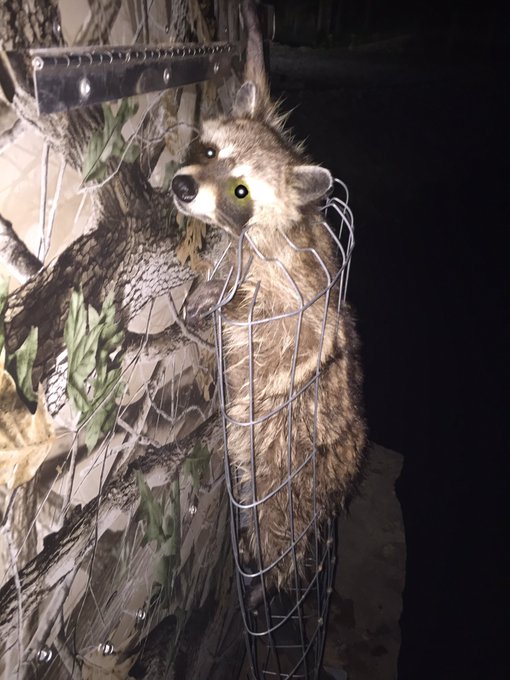 Watch Tony Stewart's leaked NSFW photo on TwXstars