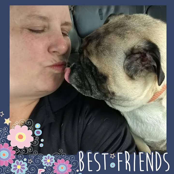 mela_rene's tweet photo. @GrimNReaperPugs #Grim missed #Mudder while I worked. #BeingBrokeIsNoJoke #WatchMeRise #DefientBroad #CrazyDogLady https://t.co/IKXEHRwddJ