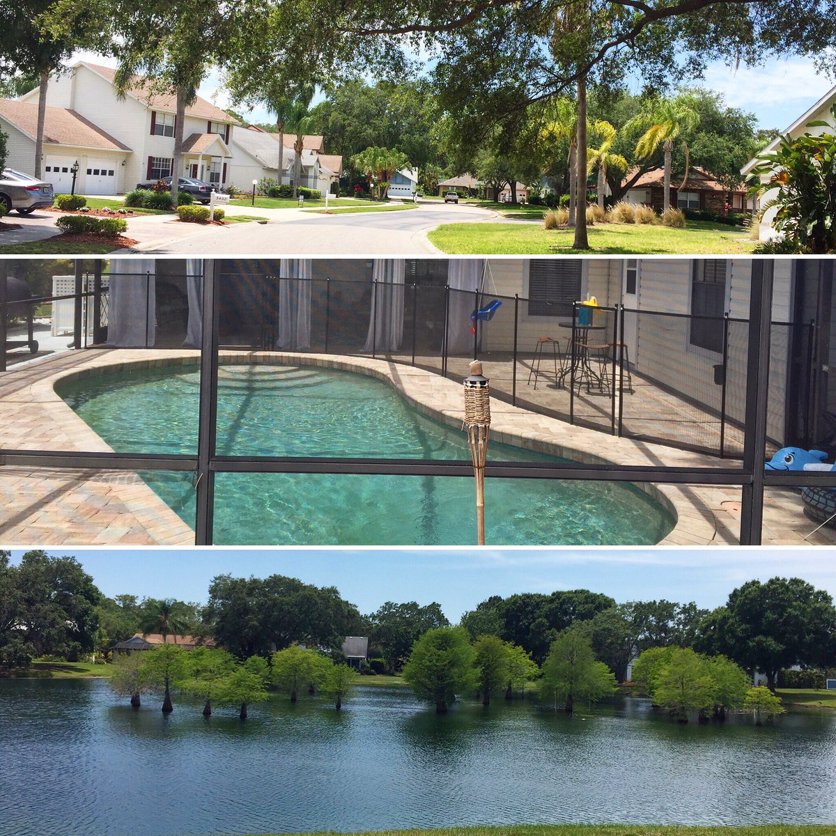 GoSarasota's tweet photo. Under contract ✔️ Happy Clients ✔️ Awesome View of the lake ✔️ #realestate #sarasota #consultants #welcomehome https://t.co/DyOq24kQh5