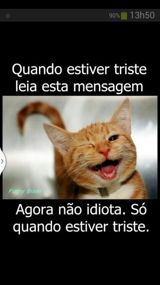 FcFrokiis's tweet photo. @Flokiis 
Apenas se estiver triste https://t.co/HcuhwJUTJu