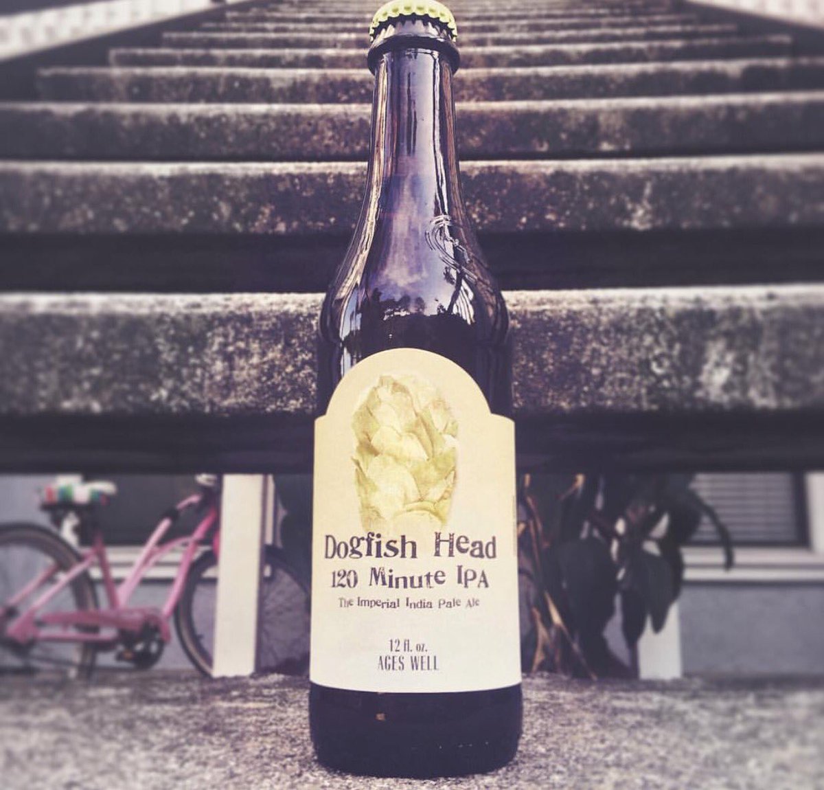 drunknerdscast's tweet photo. It's always a great year when you can enjoy a @dogfishbeer 120! #120ipa #dogfish120 #i❤️ipa #craftbeer #ipa https://t.co/PCQGlNKZh0