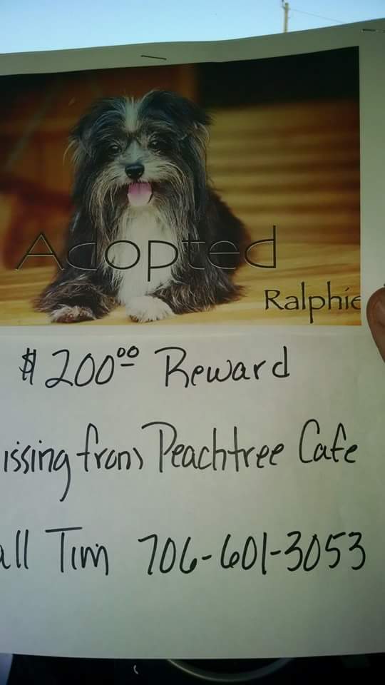 INEZSMILES's tweet photo. #ralphi https://t.co/tJMgOfKM4T
