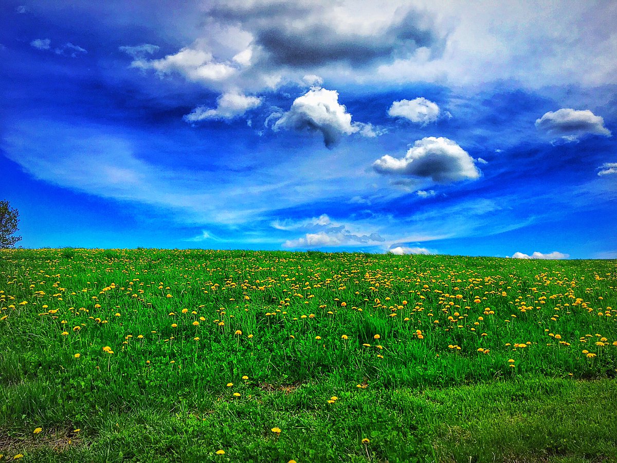 lindarap's tweet photo. On a clear day U can see forever #hiking #clouds #flowers #vt802 #vermont #getoutside https://t.co/EoWngicltG