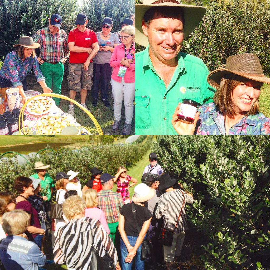 Beyond_Exp's tweet photo. Our Signature Hinterland #FoodTrail is an incredibly enjoyable day out exploring the #sunshinecoast region. https://t.co/ov3TDnfN4s