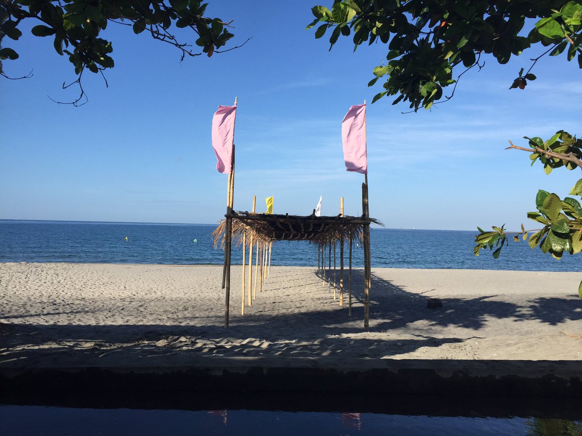pjpb7's tweet photo. have a great summer everyone! 🕶☀️ https://t.co/QWEHFJ0NzC