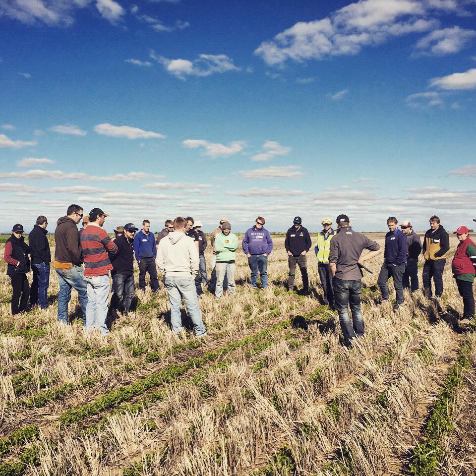 BCG_Birchip's tweet photo. The latest edition of BCG eNews is out now https://t.co/L0STnIDU7w #plant16 #GRDCstubble #rowwidth #BCGexpo16 https://t.co/YUa2E1JWgc