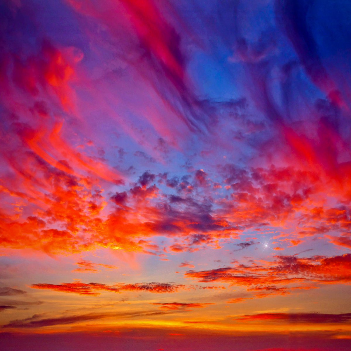 Naturespace tweet media