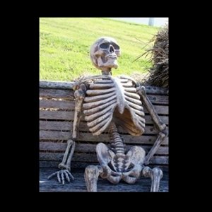 BrendaSalinasV's tweet photo. Waiting for my final semester grades to howdy like... @TAMUHumor https://t.co/qbv2TTu961