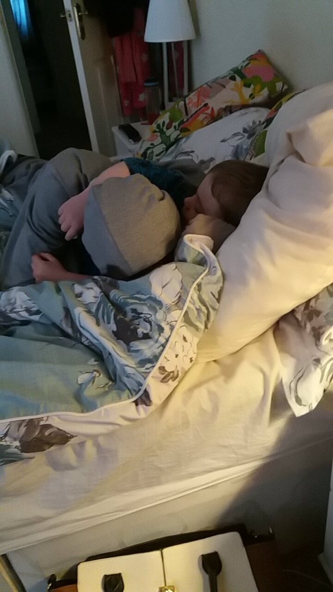 Bernietiv's tweet photo. Cuddles in bed this morning. @michellebircha2 @RobJDaly https://t.co/eKC2e8WNdI