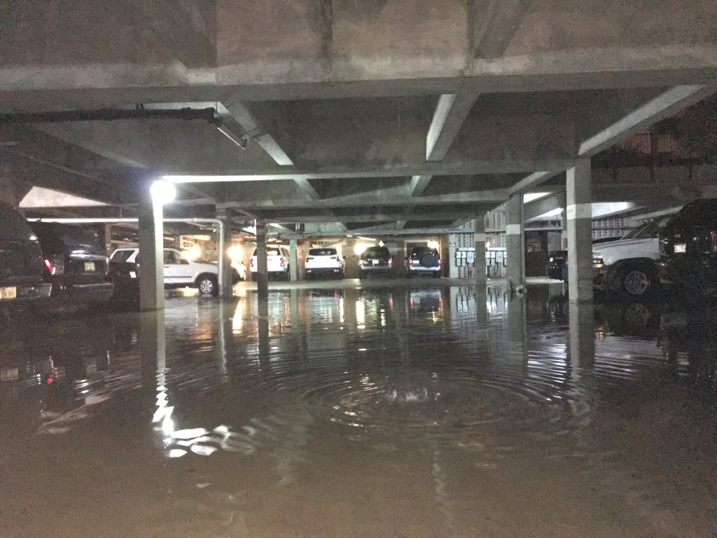 View image on Twitter