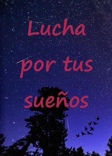 sandraonde's tweet photo. Aunque el camino sea difícil, no te rindas!! #psicologia #FelizLunes https://t.co/YSEOThlL1W