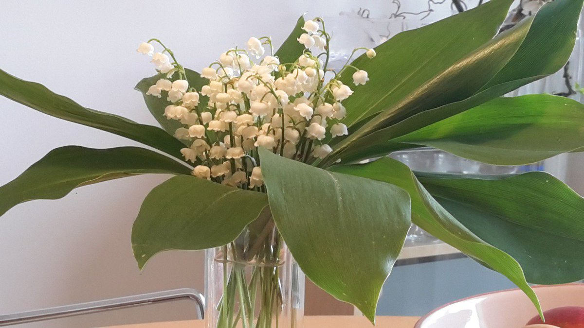 Ein Gruß aus der Küche ;) #FrohePfingsten #maiglöckchen