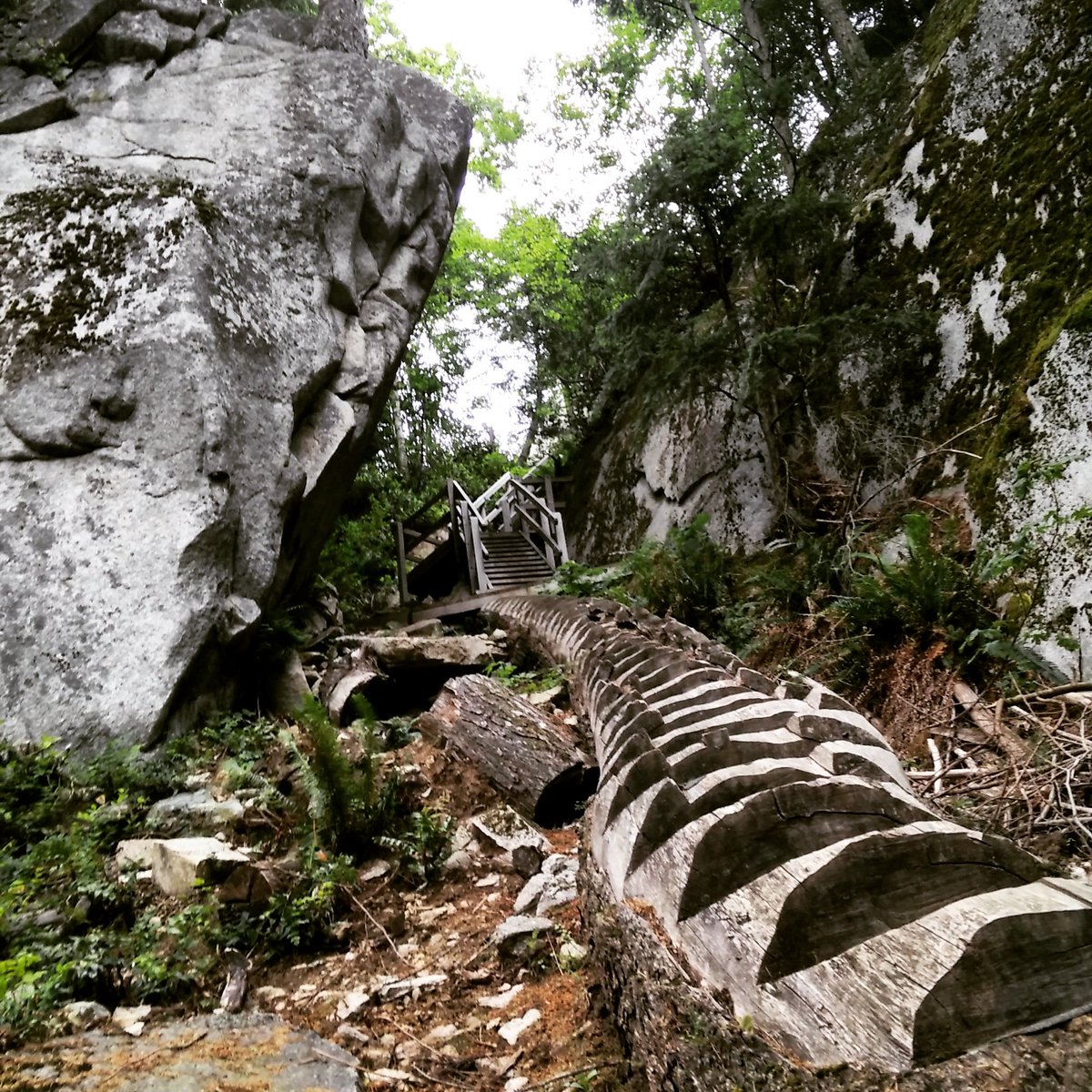 Ms Zaron tweet media