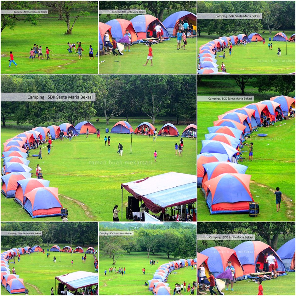 Taman Buah Mekarsari On Twitter Camping Sdk Santa Maria