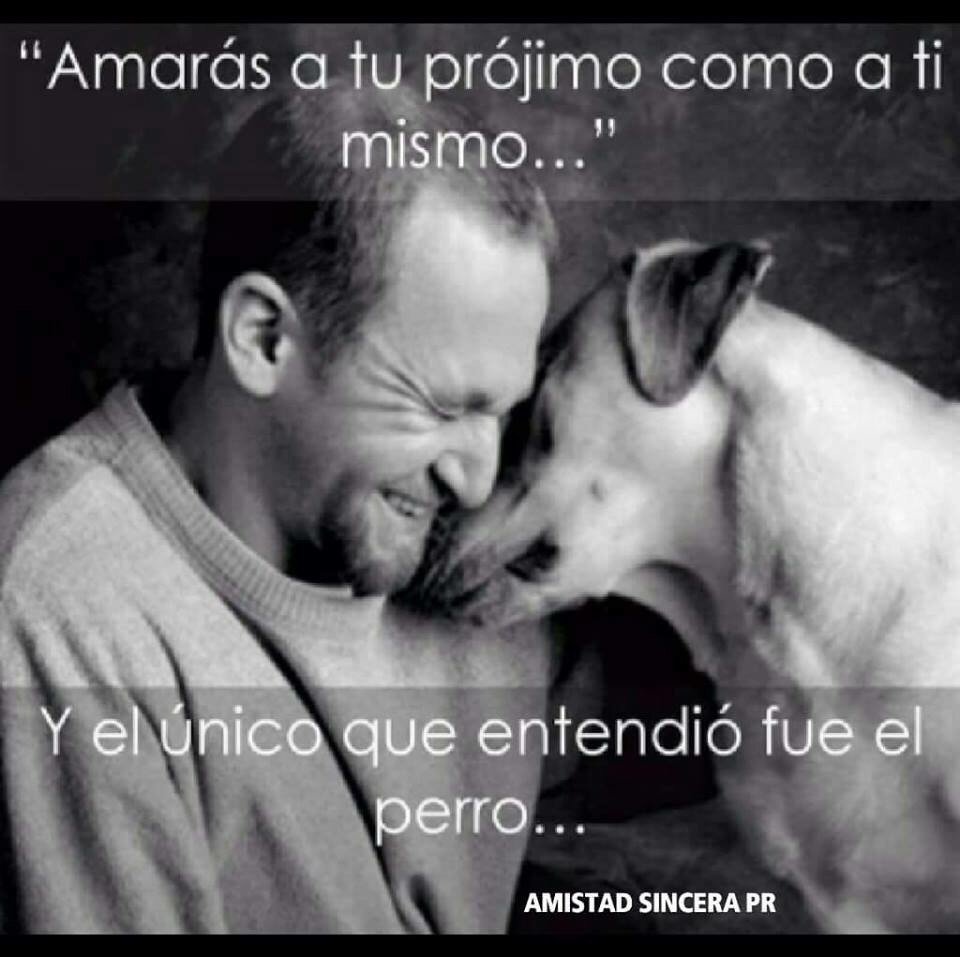 Gomez78Julio's tweet photo. https://t.co/QqcngARiiJ