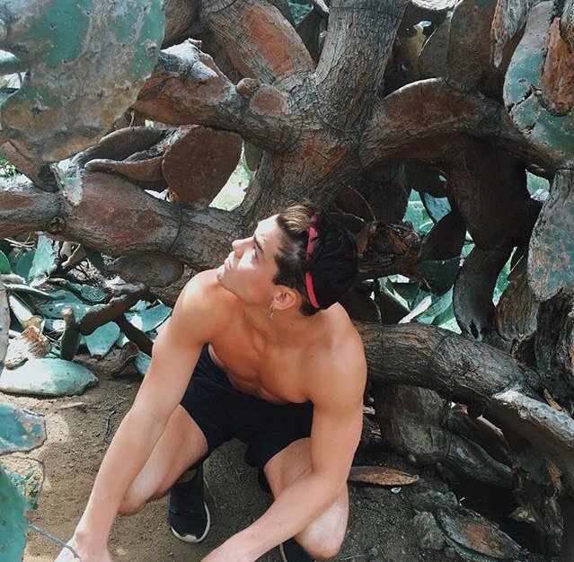 Grayson Dolan (@lgraysondolanl) on Twitter photo 