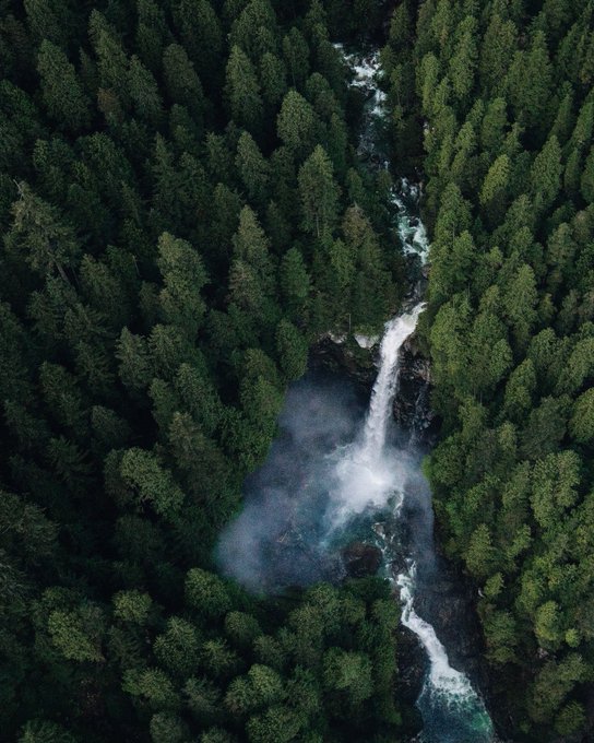 Hunting for secret waterfalls just outside Vancouver from above with @stayandwander &amp; @bradleyfriesen<a href="/tag/araxilongtable"class="tags"><span>#araxilongtable</span></a>