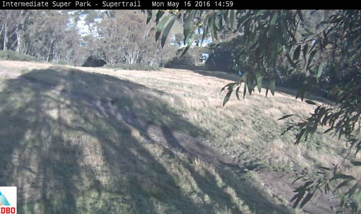 this is what <a href="/ThredboResort/">Thredbo</a> said happened- This what happened. Try the truth. will set you free