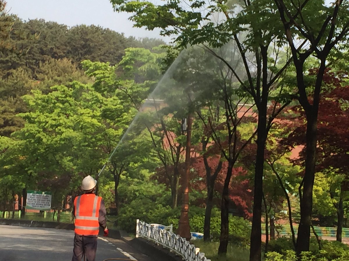 #성남시 평생학습원 조경 유지관리 공사가 본격적으로 시작되었습니다 휴관일에 작업하니 방제 및 전정 작업 중에는 우회하시기 바랍니다