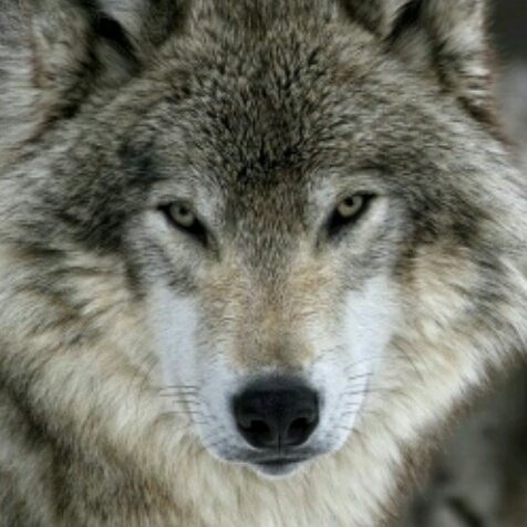 enjoy_devised's tweet image. Le regard change le raison de pznser