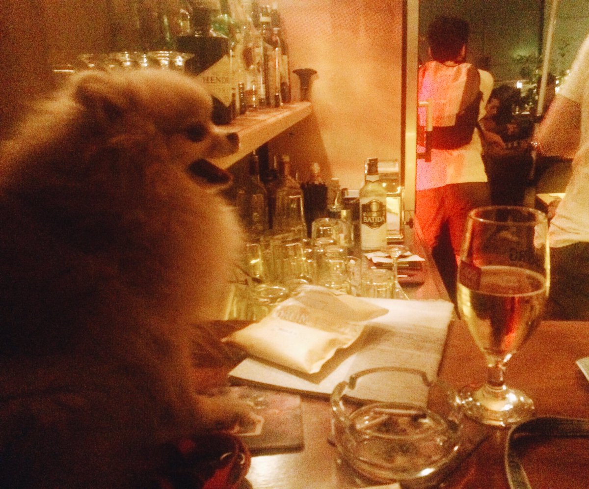 İyi haftalar!
*** Bu pub'da hiçbir hayvana alkol ve tütün ürünleri satışı yapılmamaktadır.***