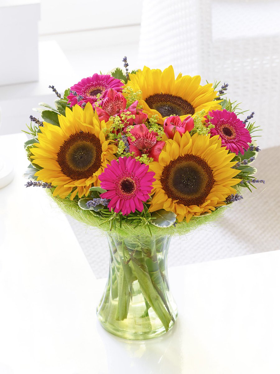 FlowersDirectie's tweet photo. Here is a little Monday morning motivation!! The sun is still shining. #mondaymotivation #summer #sun #flowers2016 https://t.co/gu3xThSU8e