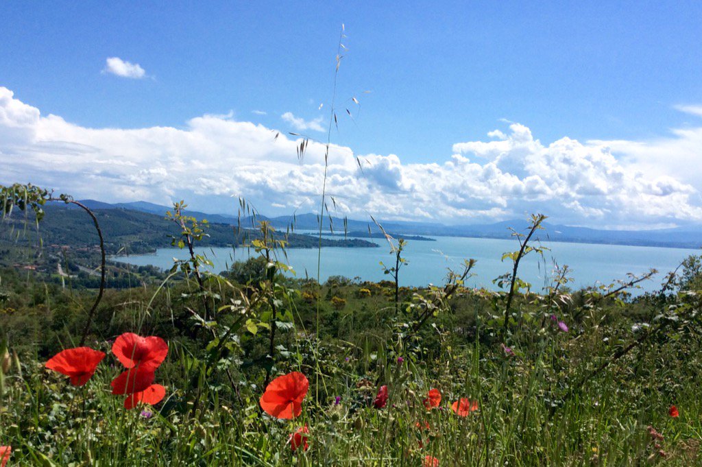 JudiBrereton's tweet photo. Lago Trasimeno from #Castel #Rigone road yesterday. #LakeTrasimeno #Passignano https://t.co/TNf804xgvI