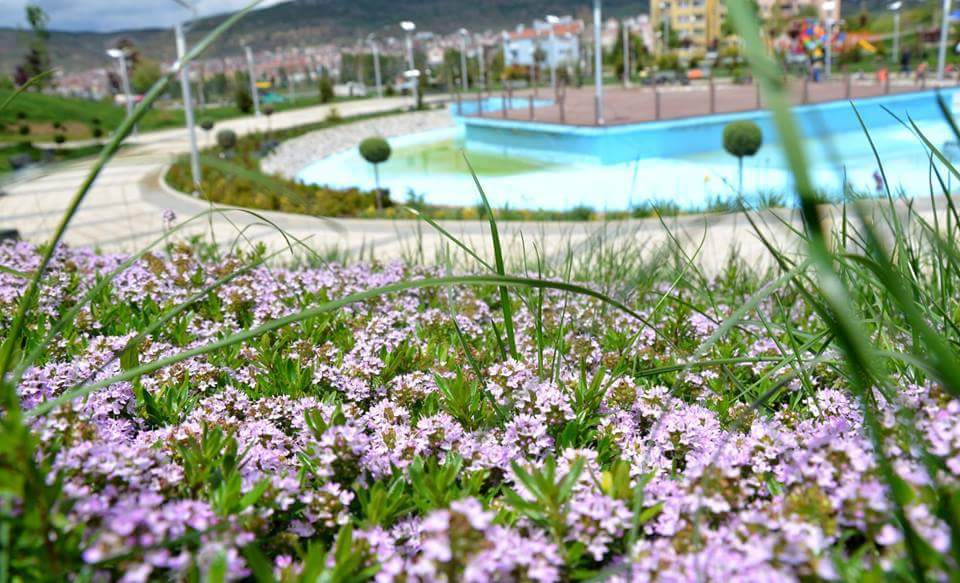 Bol kazançlı iyi haftalar 😊
#Bozüyükİçin #Bozüyük #pazartesi #YeşilkentFatihSultanMehmetParkı