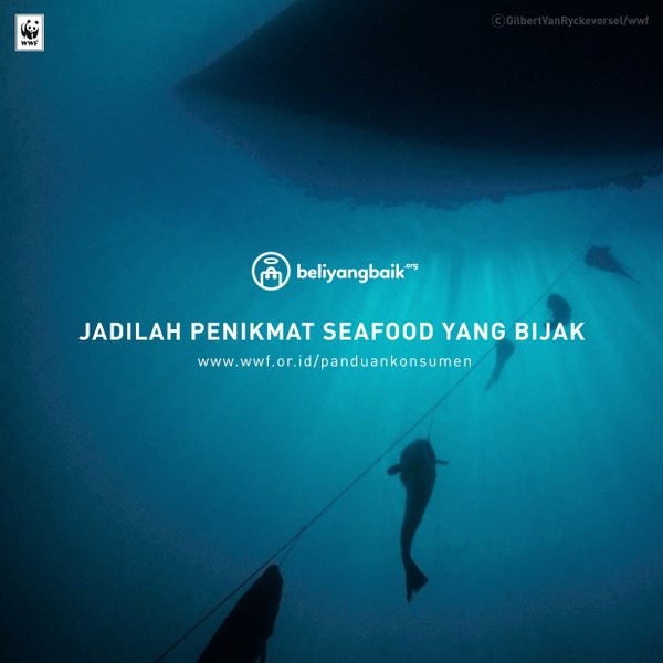 Hindari konsumsi ikan anakan agar ketersediaannya di alam tetap terjaga. Klik bit.ly/PanduanKonsume… #BeliYangBaik