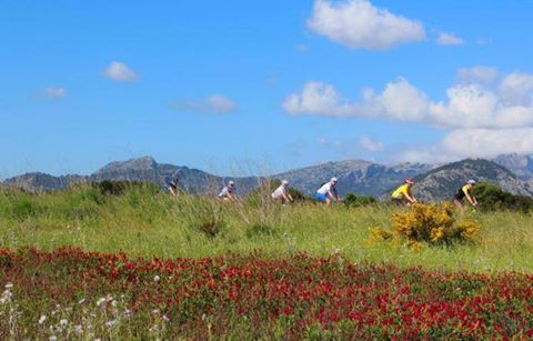 Visitcalamillor's tweet photo. #Routes #Routen #Rutes #Rutas #CalaMillor #SaComa #SIllot https://t.co/UhYC8Qt6TA https://t.co/DTR5b0nPbd