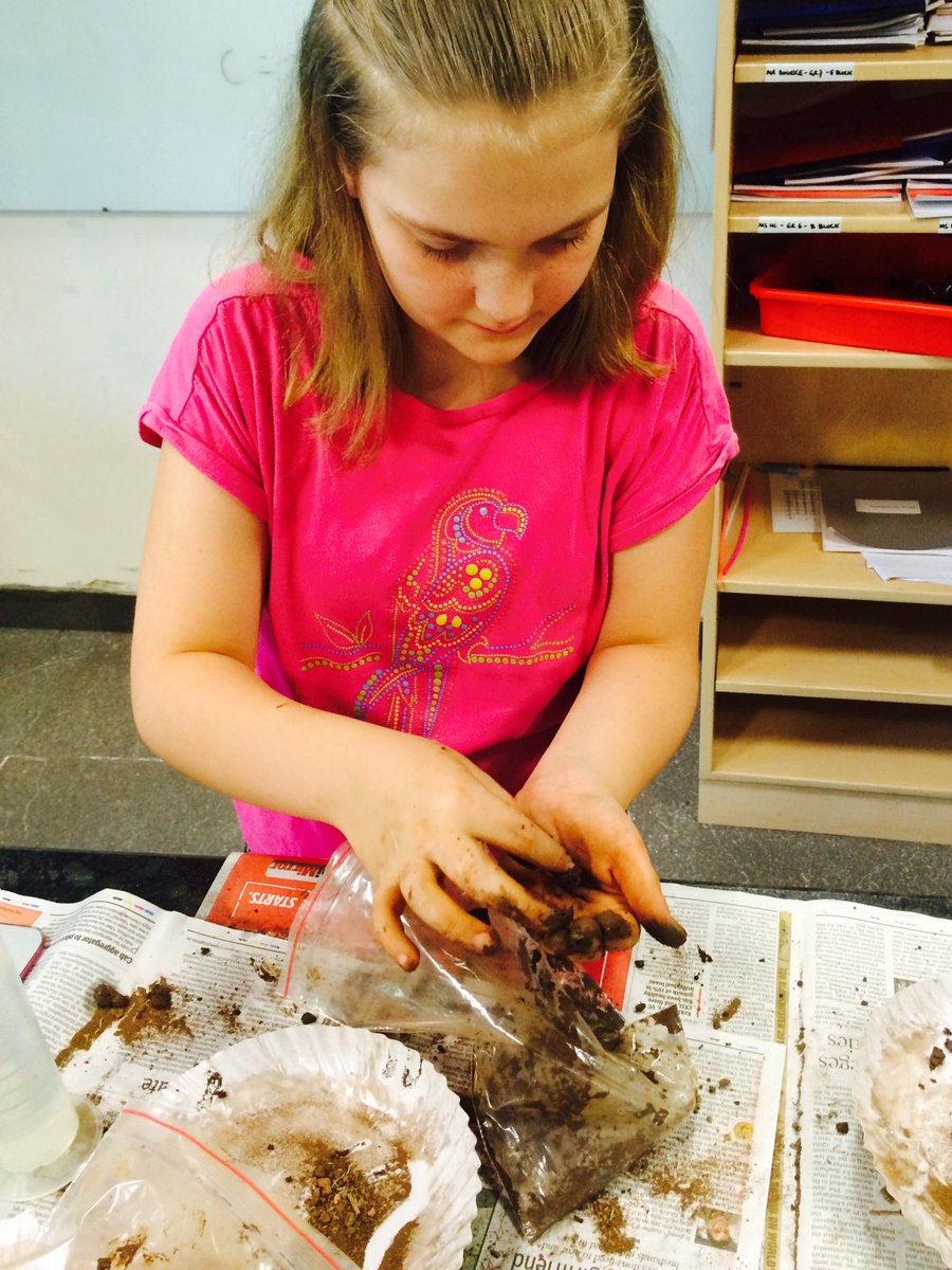 jchumblecrofts's tweet photo. Getting our hands dirty in Earth Science! @ASBIndia @pipcurtis #asbms #ribbontest #gettingdowntoearth https://t.co/a6wlYkAF1p