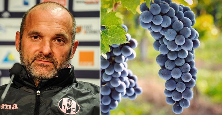 [Toulouse] Après le TFC, le nouveau défi de Pascal Dupraz : "Faire de la négrette le plus grand cépage du monde."