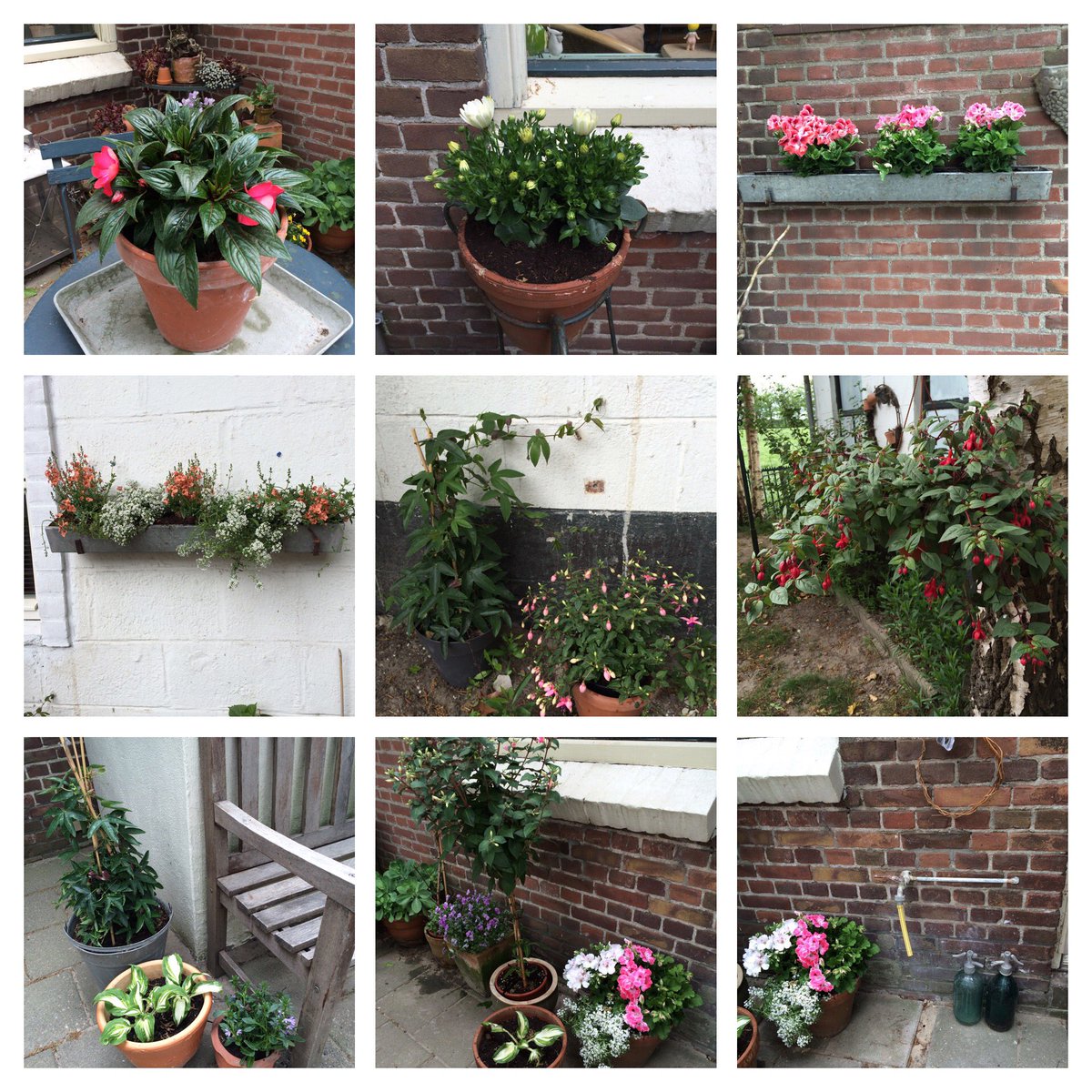 ella_sar's tweet photo. De bloemetjes buiten zetten! https://t.co/jxLMCNxa3V
