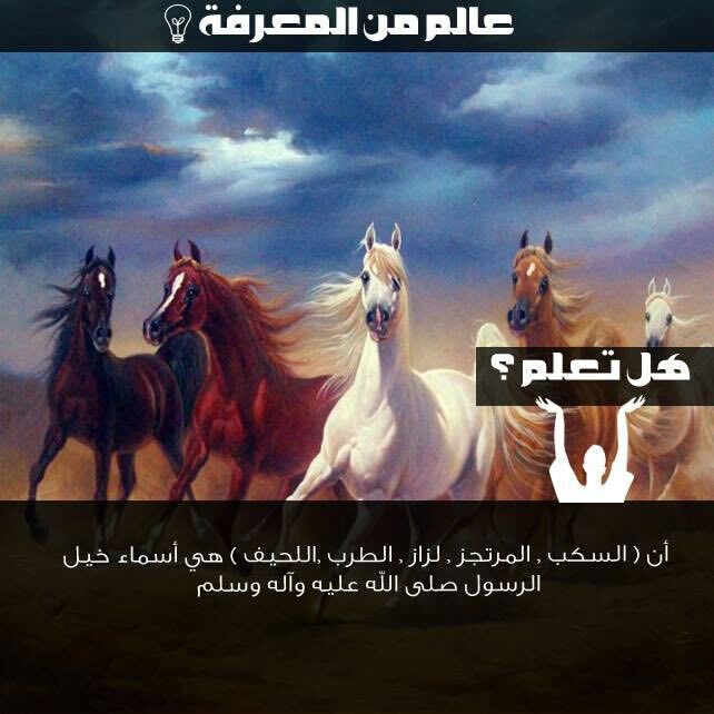 علاء حسين النجفي (@kufa297) on Twitter photo 