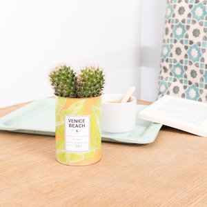 Tentez de remporter votre cactus design par AŸ Cactus ! 
→ bit.ly/AŸcactus