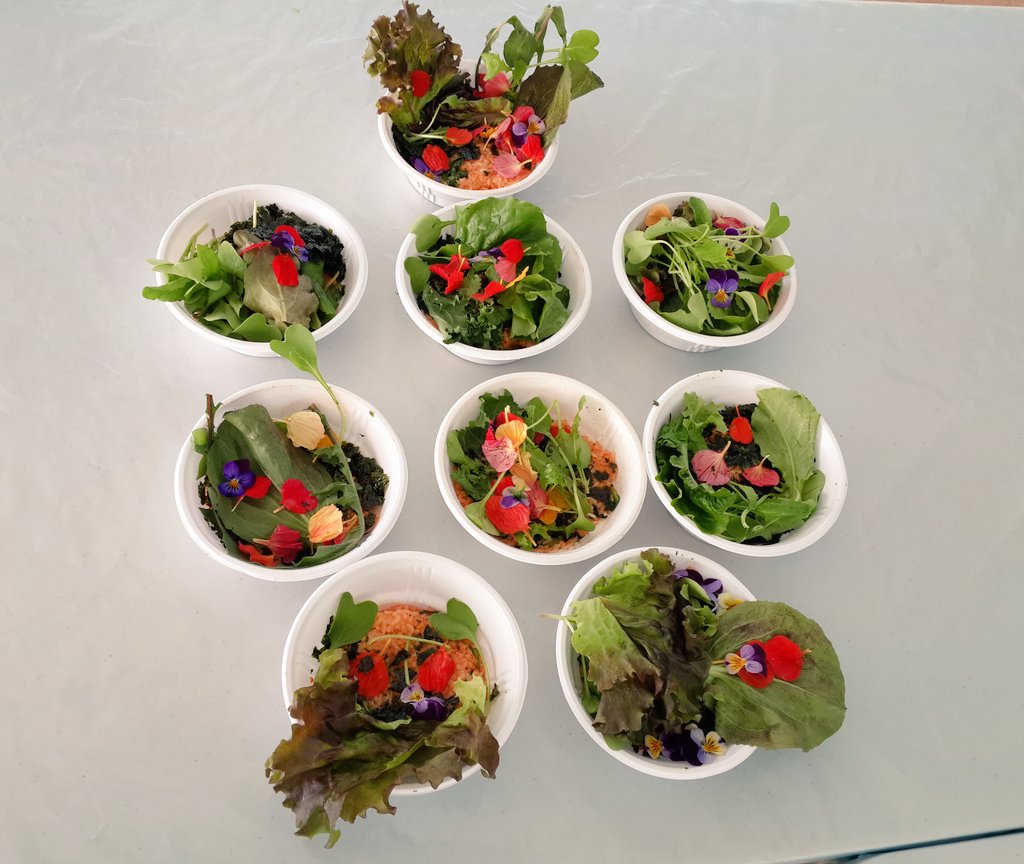 성남'재밌는'텃밭가꾸기 프로그램
텃밭의 한련화와 비올라팬지 잎채소를 이용한 꽃비빔밥 만들기
직접 수확한 꽃과 채소들로 직접 만들어 먹으니 그 맛이 짱~이예요. 
#성남시 #성남시민농원 #텃밭지도사 #티칭팜