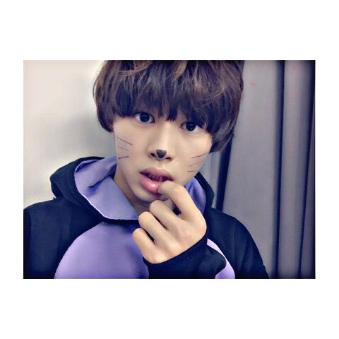 choco_44BT's tweet photo. 🐾

おい、構えよ寂しいにゃんっ…

 こっち来んにゃっ！

【ツンデレ、寂しがり屋、気分屋
    甘えん坊、右、M】

気分屋なネコはいかがですか？
構ってくれなきゃ拗ねる

#nrさんbotさんで気になった人お迎え 

🐾 https://t.co/WFlav53zn7