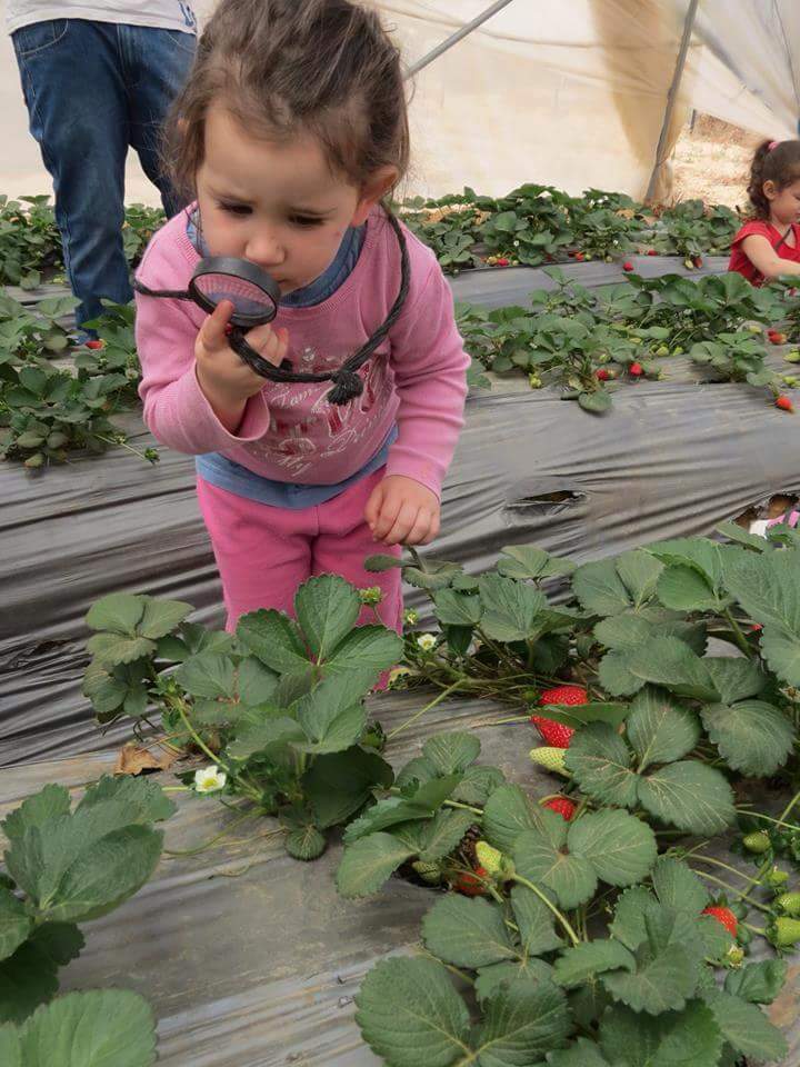 EllaDoGood's tweet photo. Thinking about "Feeding the needy" you sometimes forget where the food comes from. #ellaDoGood #MakeTheDesertBloom https://t.co/JIkwxTcJJ0