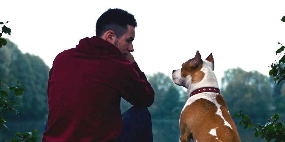 Negaidīti romantiski un mīļi! <a href="/Reikskk/">Reiks</a> un <a href="/MazaisZalaisNP/">Jānis K.</a> piedāvā jaunu video #Vēlos 🙏 ❤ urbanconcept.lv/reiks-velos/