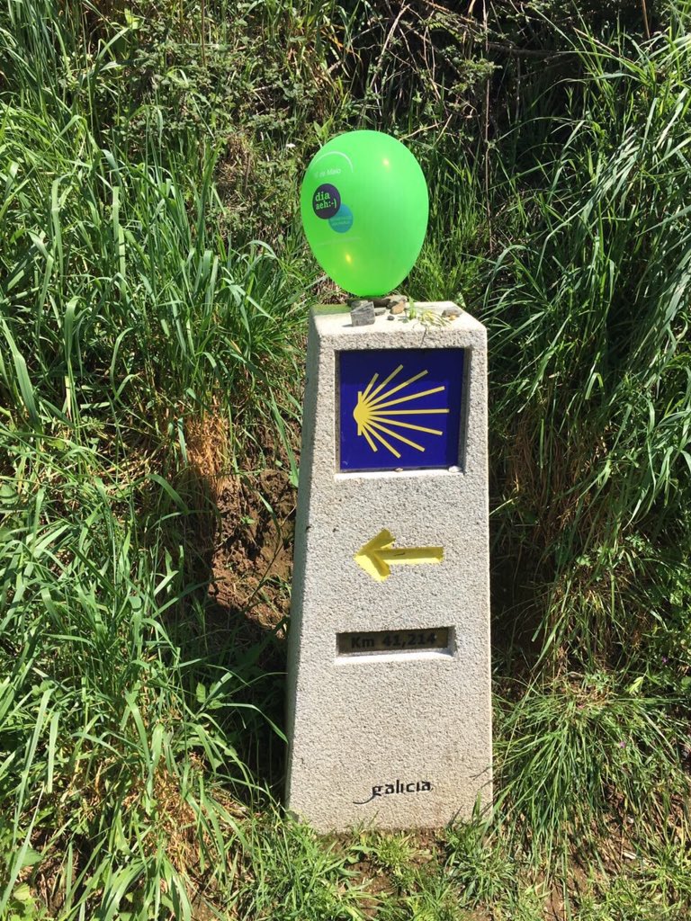 Día mundial del Angioedema Hereditario. <a href="/haeday_ES/">Angioedema-AEDAF</a> lo celebra caminando #HaeiAedafCaminoWalk