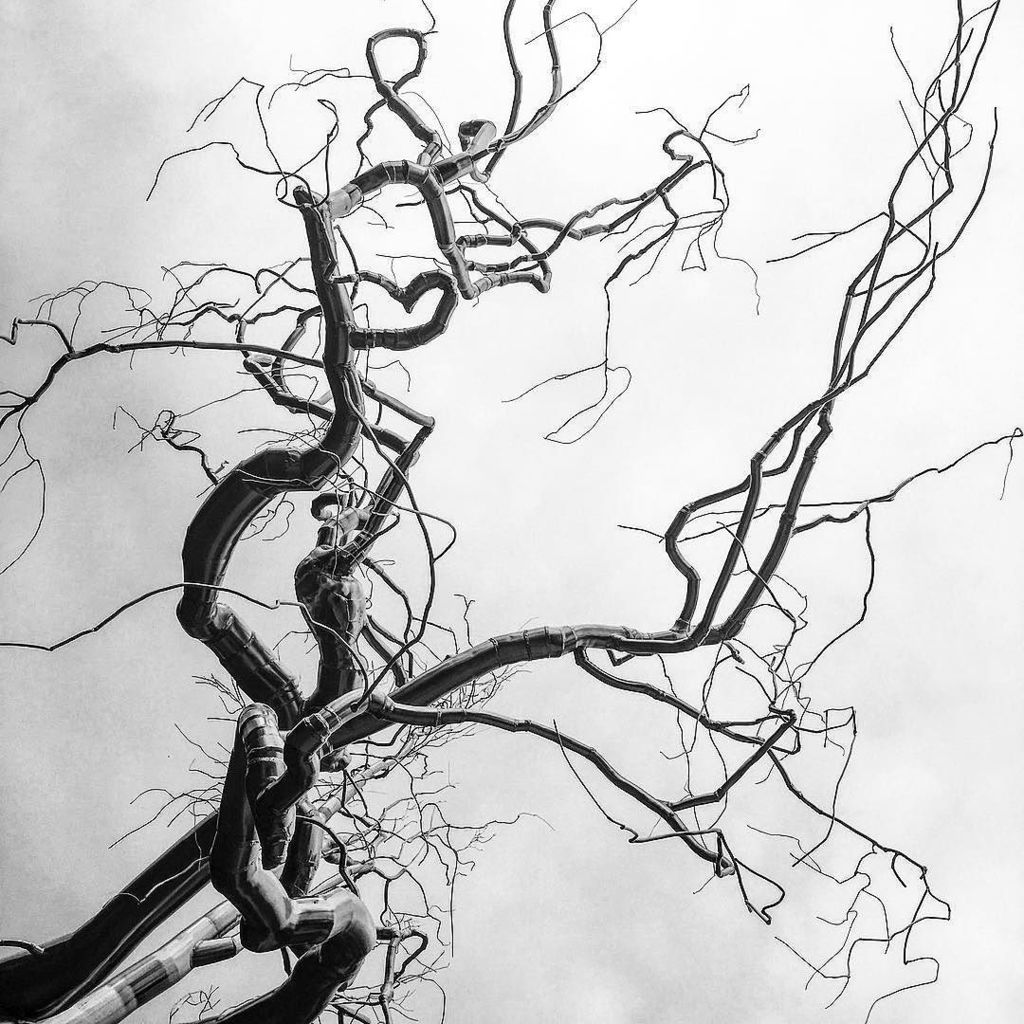 sculpturecourts's tweet photo. by @stephanie.allison: #nationalgallery #sculpturegarden #viewsofdc #silvertree #nationalmall #graft #roxypaine #gl… https://t.co/lgw5eKlxY2