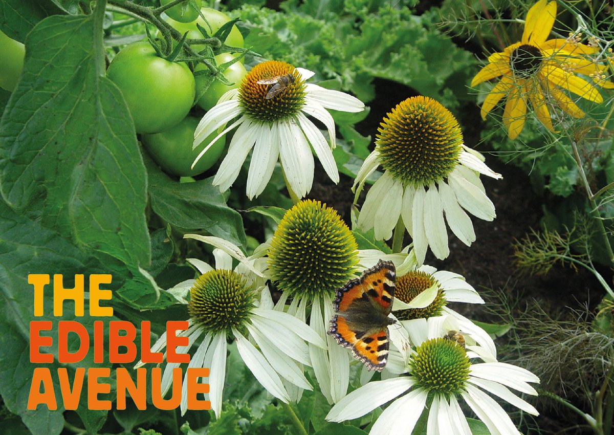 EdibleBusStop's tweet photo. Join us this Sat 21/05 for a FUN FREE @ChelseaFringe event @stgeorgeprimary Plant up a herb to take away! See invite https://t.co/7Bxn0ftnyL