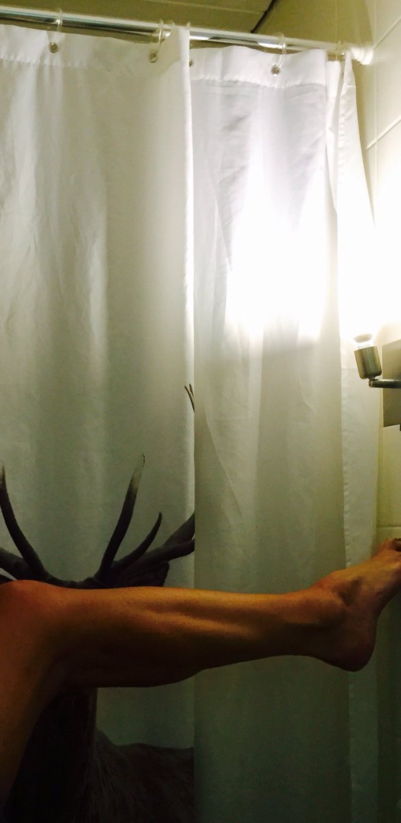 sregnifrettiwt's tweet photo. #preShowerPic https://t.co/nIlIX1aEVF
