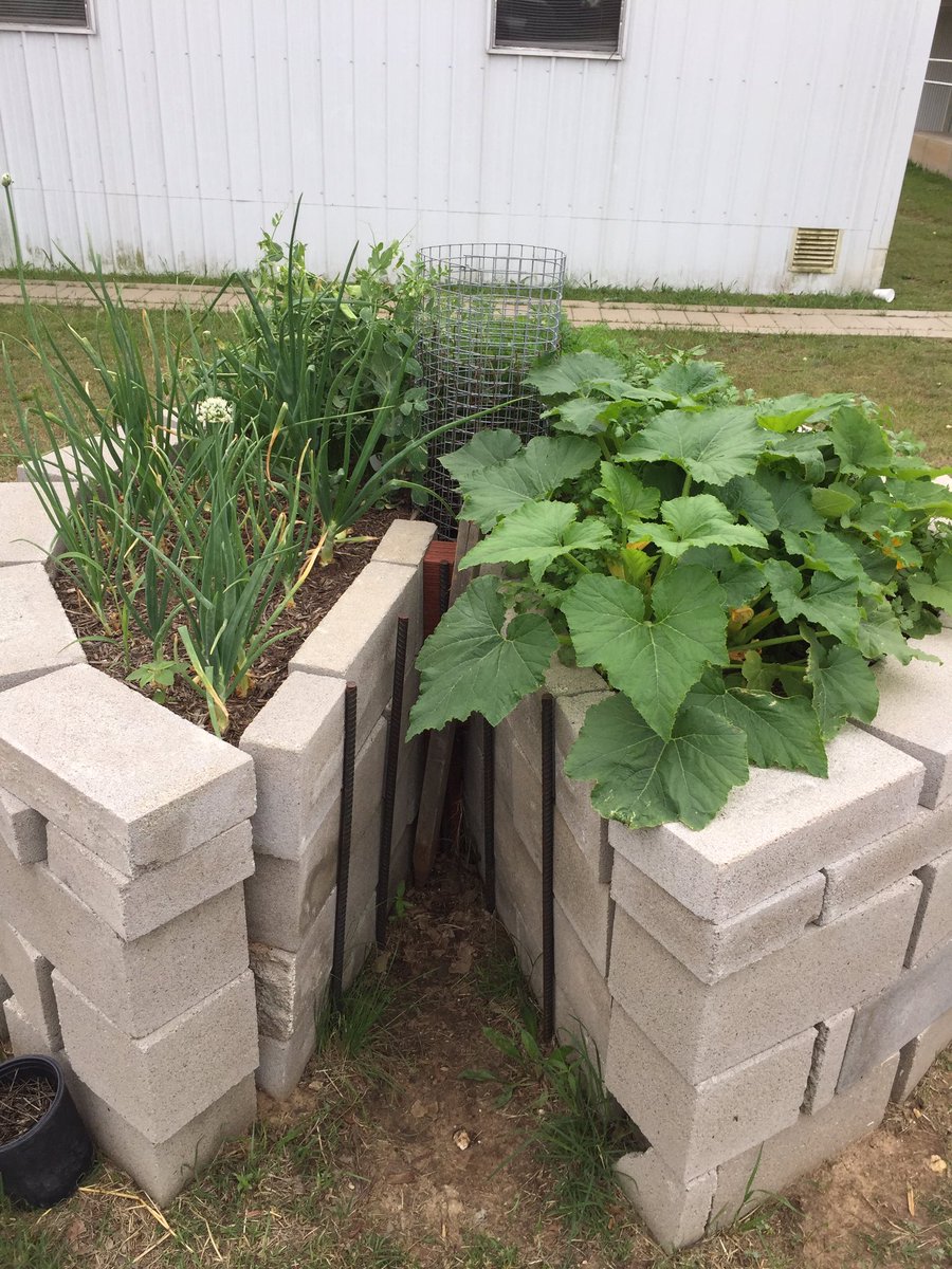 Three Way ISD tweet media