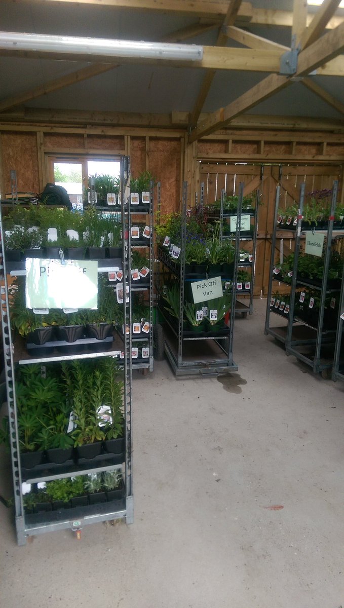 sianrobinson101's tweet photo. Busy day at @Mires beck nursery trays of plants going out search of Hull 9 Dutch trolleys  well done #Plantprep team https://t.co/r2rf9c5OJb