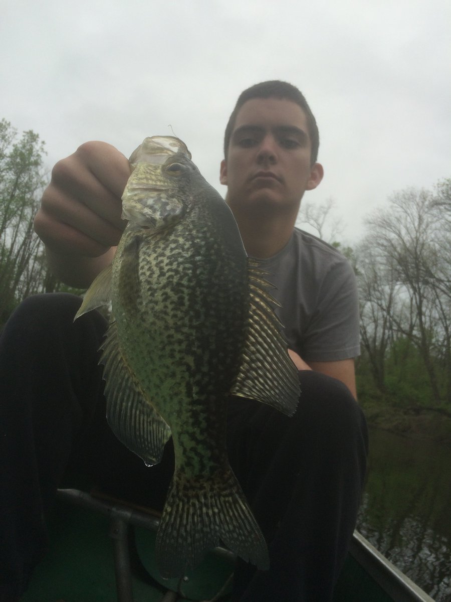 Crappie!!!!!!!