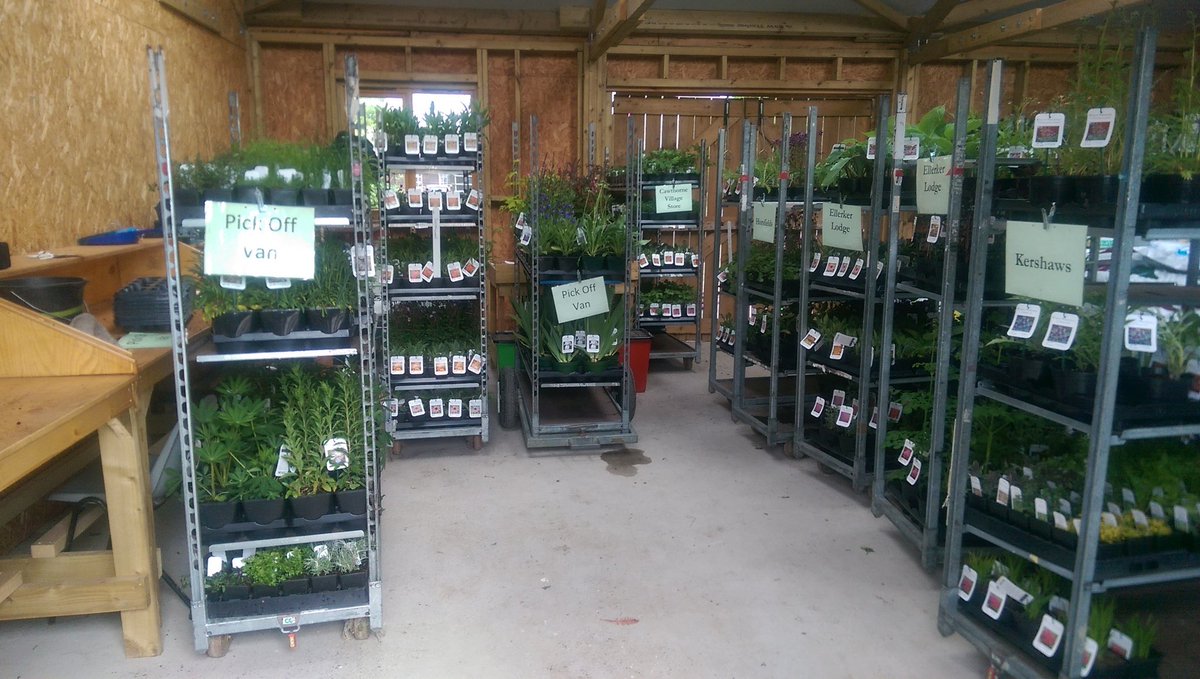 sianrobinson101's tweet photo. Busy day at @Mires beck nursery trays of plants going out search of Hull 9 Dutch trolleys  well done #Plantprep team https://t.co/r2rf9c5OJb