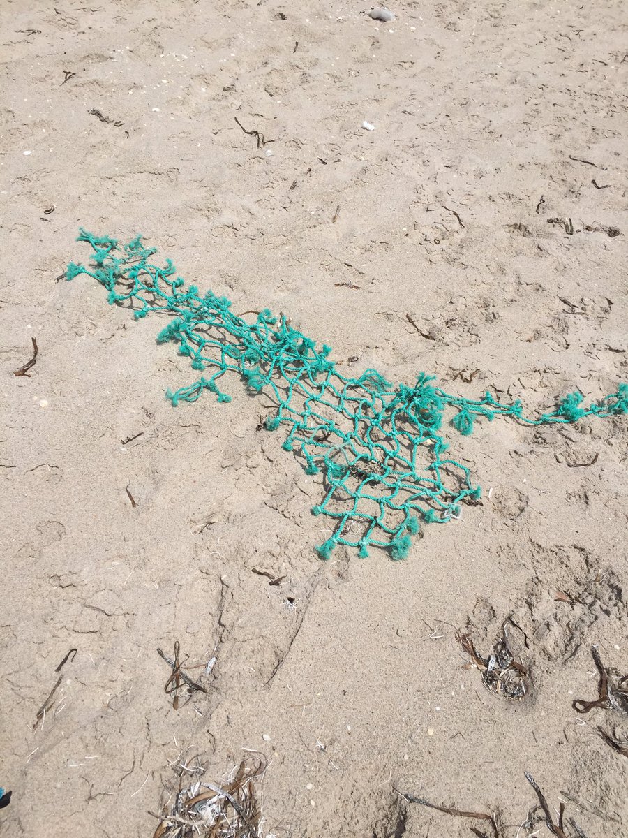 FriendsofPB_'s tweet image. The disparity of my day. Beach trash rope and a new turtle nest!! #turtlenest #beachtrash